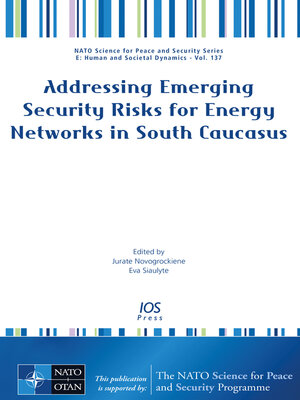 cover image of Addressing Emerging Security Risks for Energy Networks in South Caucasus